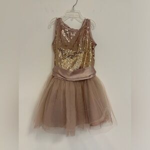 Biscotti Winter 13 girls dress